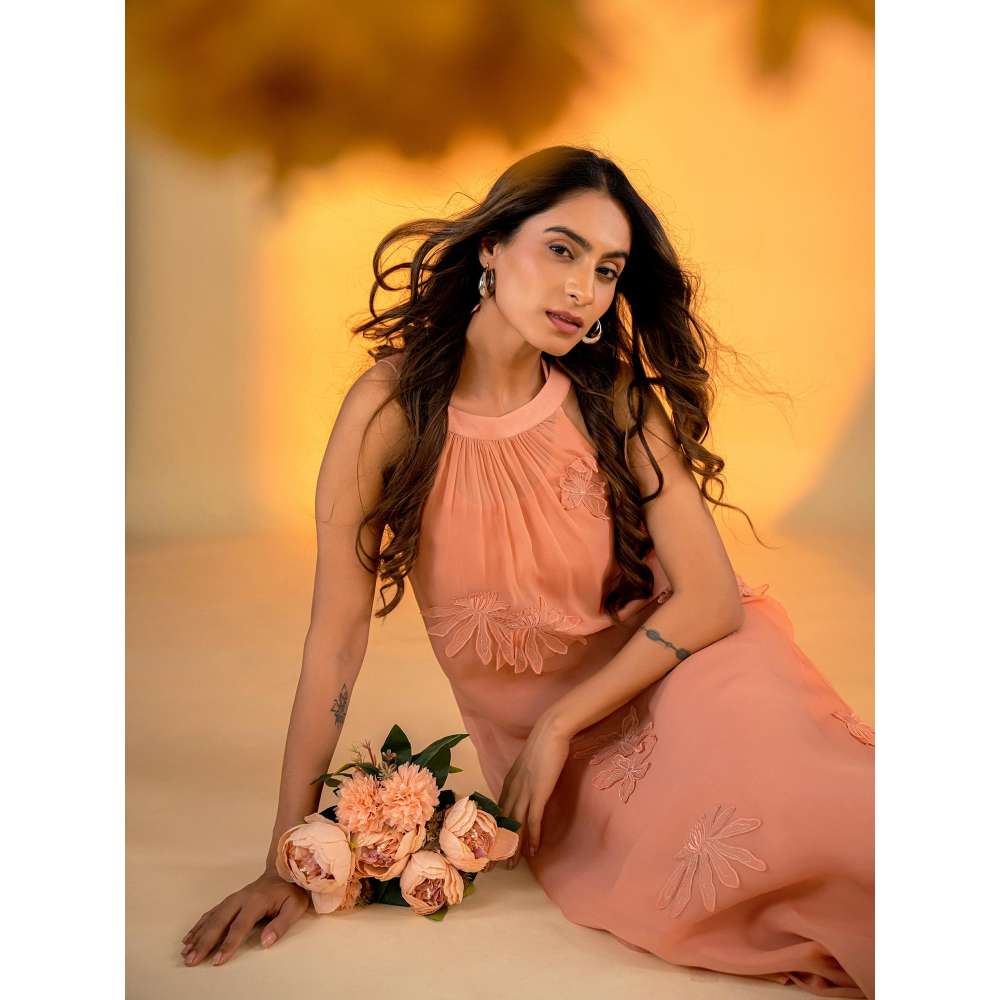 Amrood Peach Embroidered Dress with Inner (Set of 2)