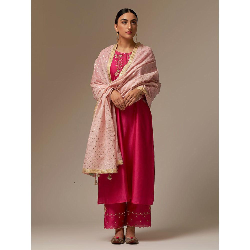 Anantaa by Roohi Trehan Pink Silk Chanderi A-Line Kurta With Hand Embroidery