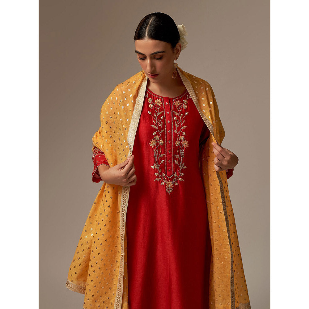 Anantaa by Roohi Trehan Red Silk Chanderi A-Line Kurta With Hand Embroidery