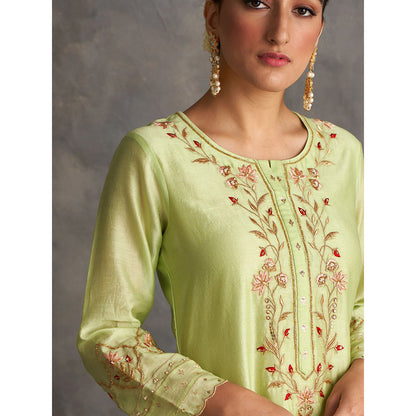 Anantaa by Roohi Trehan Light Green Silk Chanderi A-Line Kurta With Hand Embroidery