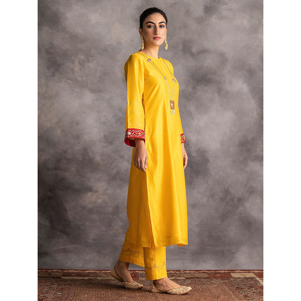 Anantaa by Roohi Trehan Yellow Silk Chanderi A-Line Kurta With Hand Embroidery