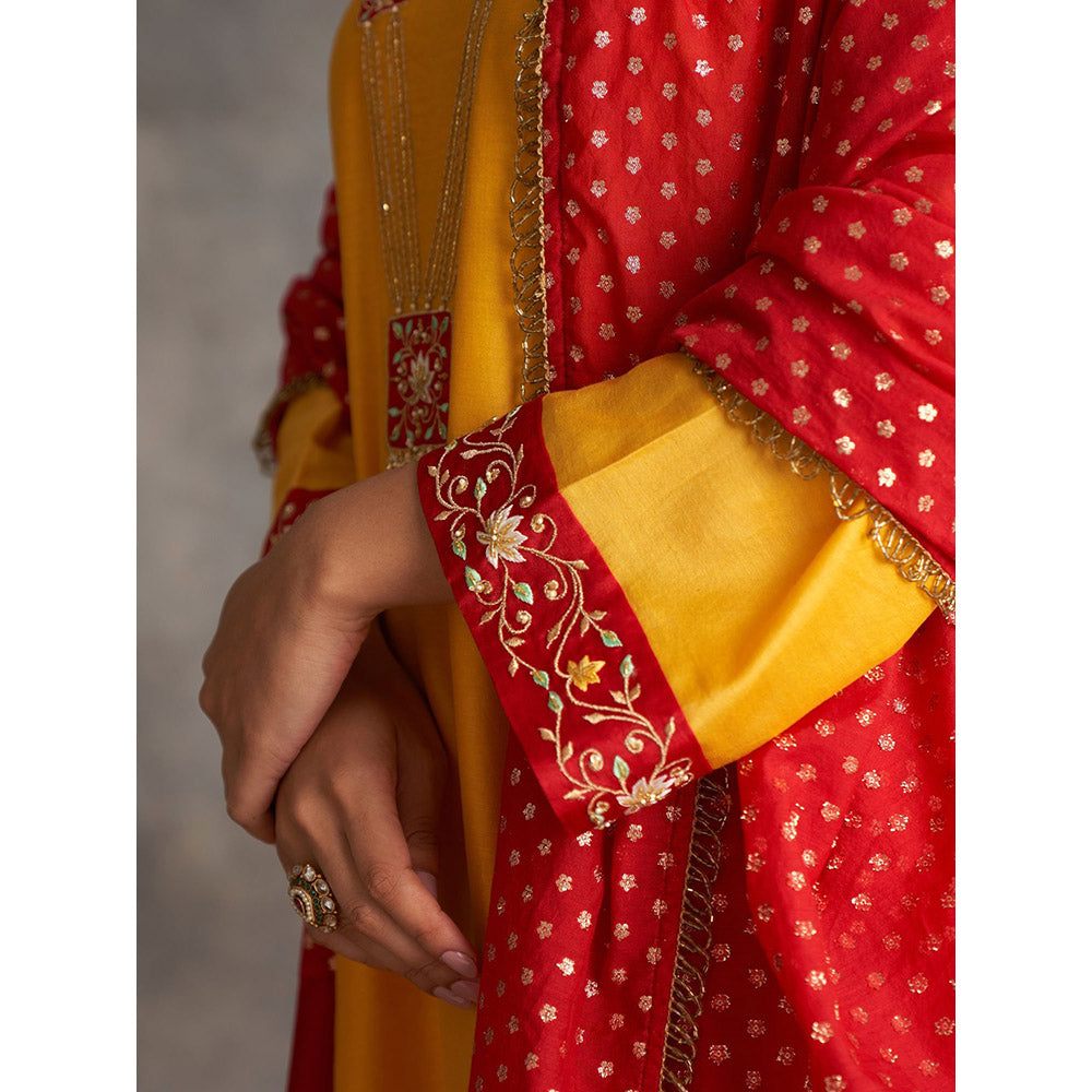 Anantaa by Roohi Trehan Yellow Silk Chanderi A-Line Kurta With Hand Embroidery