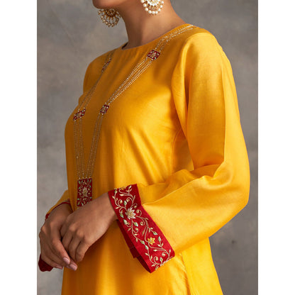 Anantaa by Roohi Trehan Yellow Silk Chanderi A-Line Kurta With Hand Embroidery