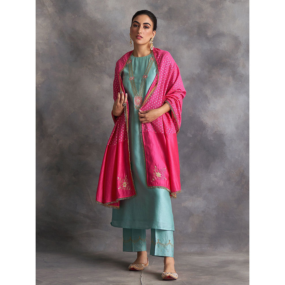 Anantaa by Roohi Trehan Blue Silk Chanderi A-Line Kurta With Hand Embroidery
