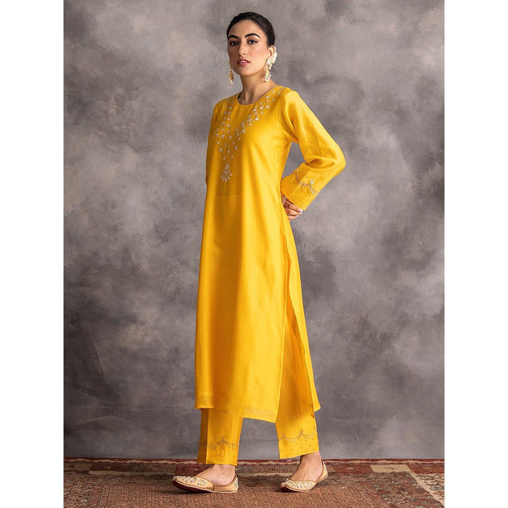 Anantaa by Roohi Trehan Yellow Silk Chanderi A-Line Kurta With Hand Embroidery