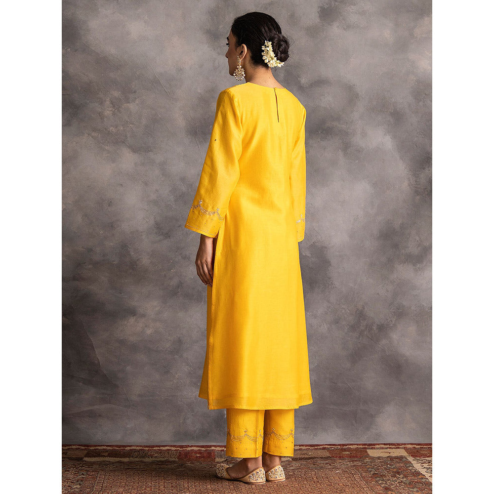 Anantaa by Roohi Trehan Yellow Silk Chanderi A-Line Kurta With Hand Embroidery