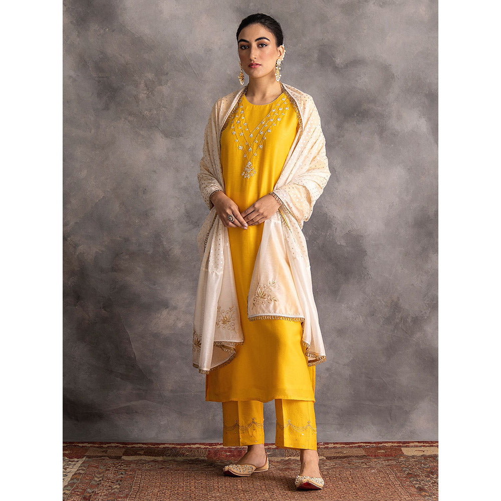Anantaa by Roohi Trehan Yellow Silk Chanderi A-Line Kurta With Hand Embroidery