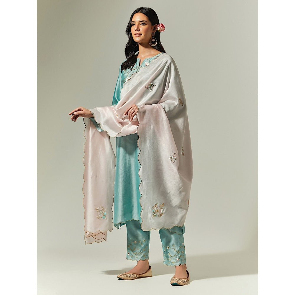 Anantaa by Roohi Trehan Light Pink Silk Chanderi Hand Embroidered Dupatta