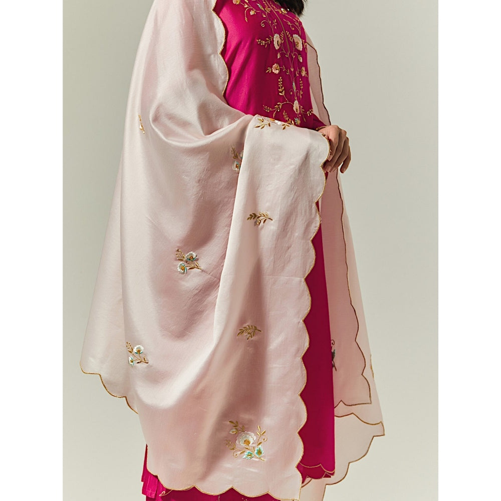Anantaa by Roohi Trehan Light Pink Silk Chanderi Hand Embroidered Dupatta