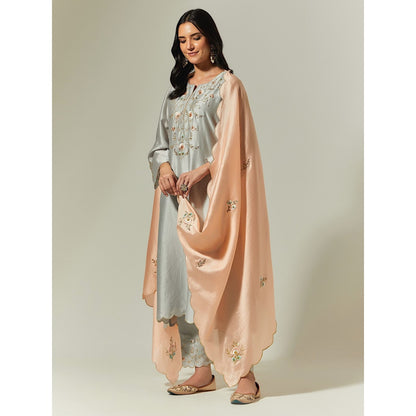 Anantaa by Roohi Trehan Peach Silk Chanderi Hand Embroidered Dupatta