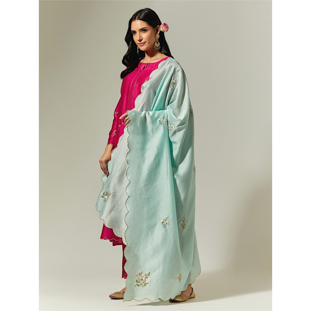 Anantaa by Roohi Trehan Mint Silk Chanderi Hand Embroidered Dupatta