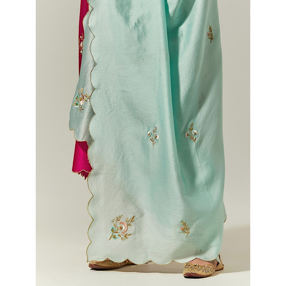 Anantaa by Roohi Trehan Mint Silk Chanderi Hand Embroidered Dupatta