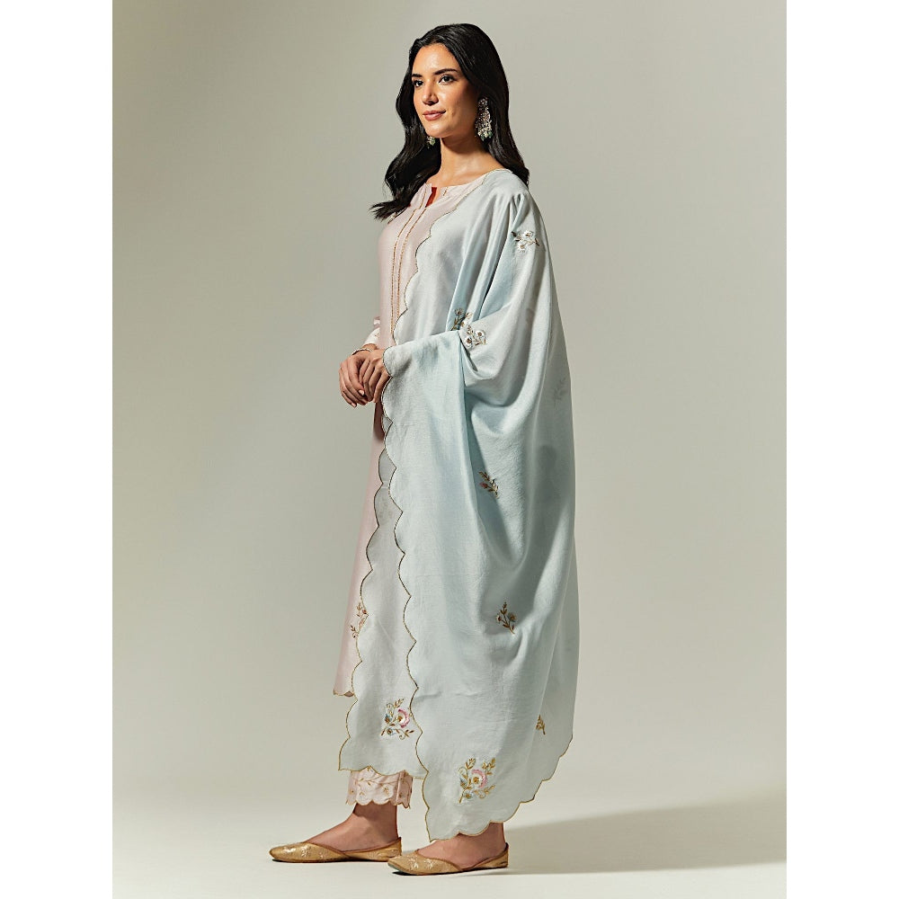 Anantaa by Roohi Trehan Blue Silk Chanderi Hand Embroidered Dupatta