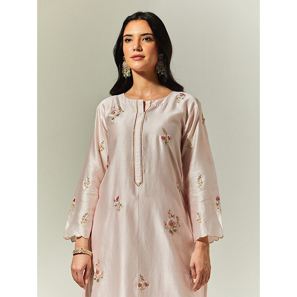 Anantaa by Roohi Trehan Light Pink Silk Chanderi Hand Embroidered Kurta With Plackett