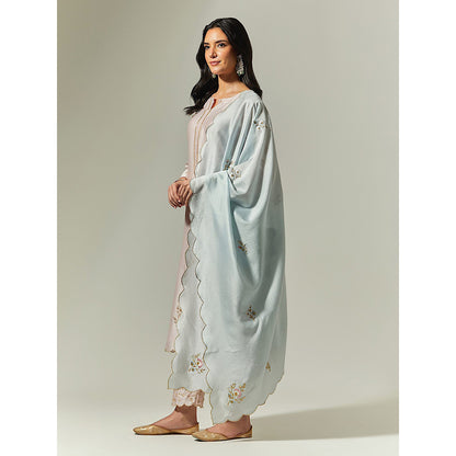 Anantaa by Roohi Trehan Light Pink Silk Chanderi Hand Embroidered Kurta With Plackett