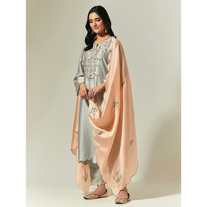 Anantaa by Roohi Trehan Grey Silk Chanderi Hand Embroidered Kurta