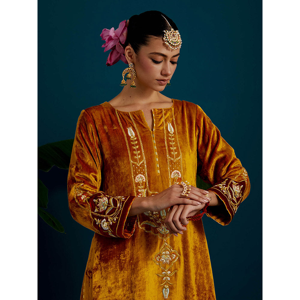 Anantaa by Roohi Trehan Mustard Orange Velvet Round Neck Kurta with Pant (Set of 2)