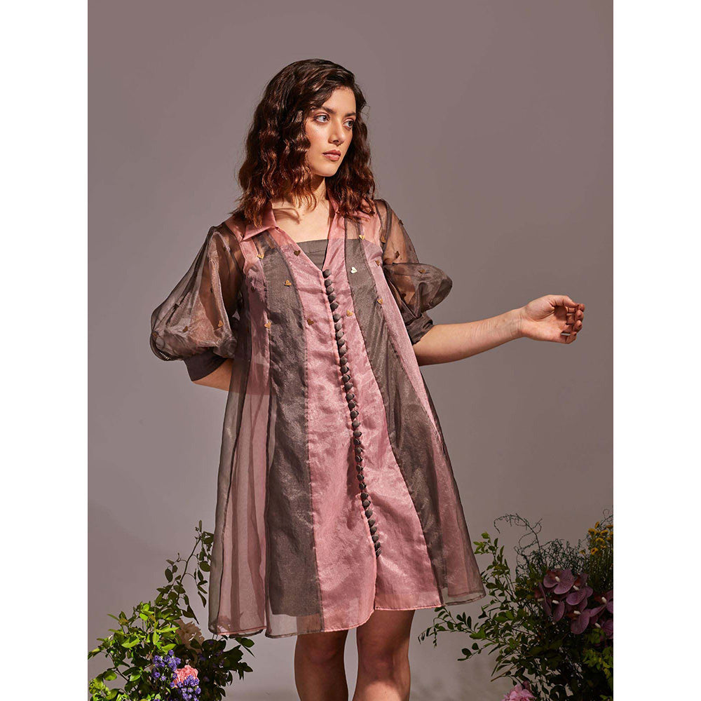 AN'ERA BY ASMITA VERMA Pink Forrest Mini Dress with Inner (Set of 2)