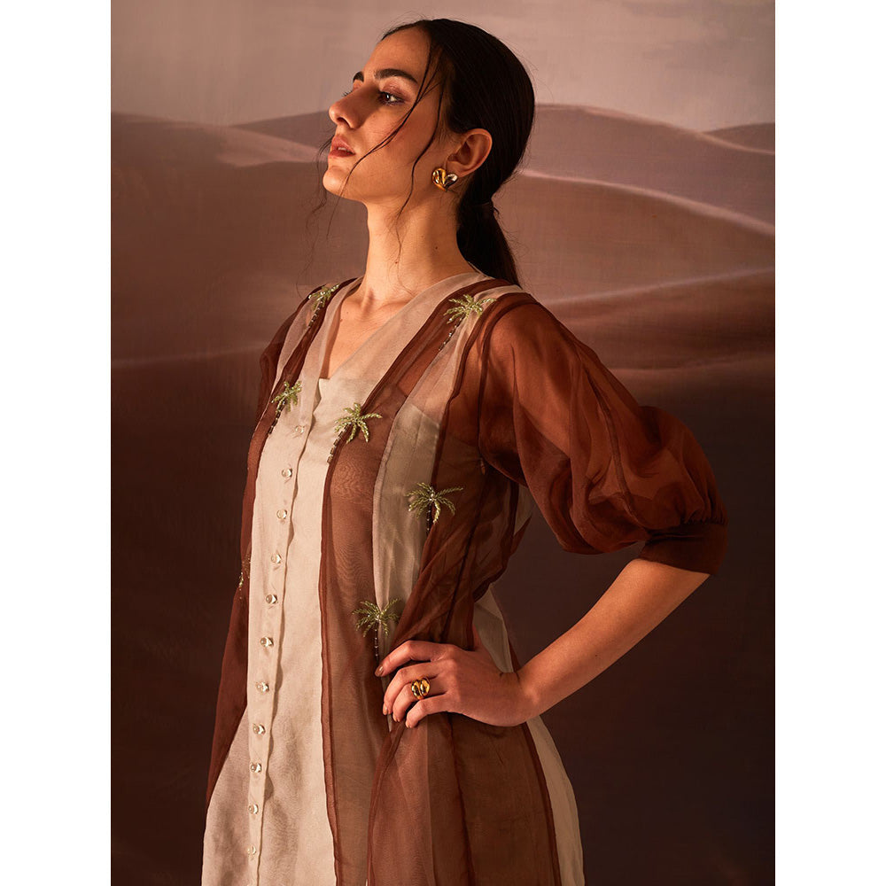 AN'ERA BY ASMITA VERMA Clover Brown Embroidered Dress and Slip (Set of 2)