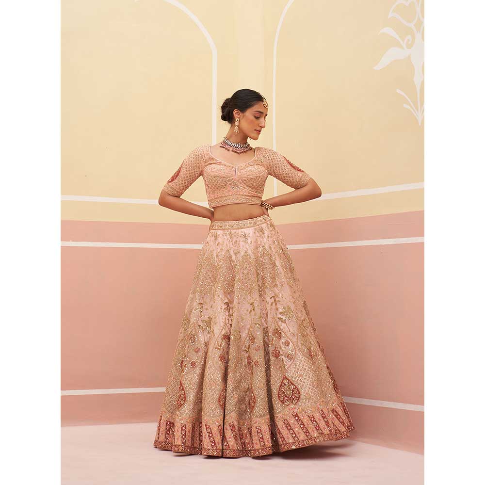 ANGAD SINGH Peach Organza Lehnga with Blouse & Dupatta (Set of 3)