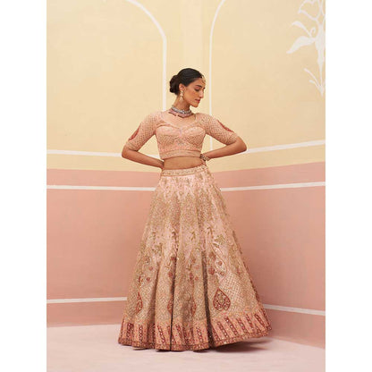 ANGAD SINGH Peach Organza Lehnga with Blouse & Dupatta (Set of 3)