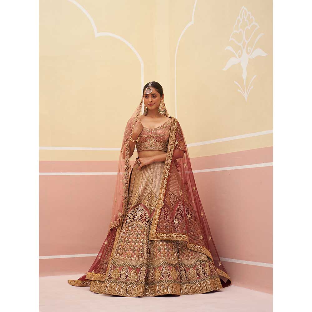 ANGAD SINGH Onion Pink Organza Lehnga with Blouse & Dupatta (Set of 3)