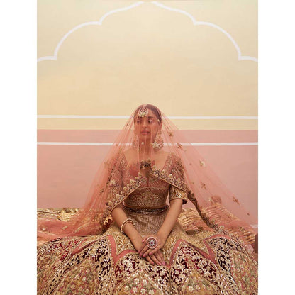 ANGAD SINGH Onion Pink Organza Lehnga with Blouse & Dupatta (Set of 3)