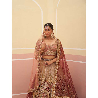 ANGAD SINGH Onion Pink Organza Lehnga with Blouse & Dupatta (Set of 3)