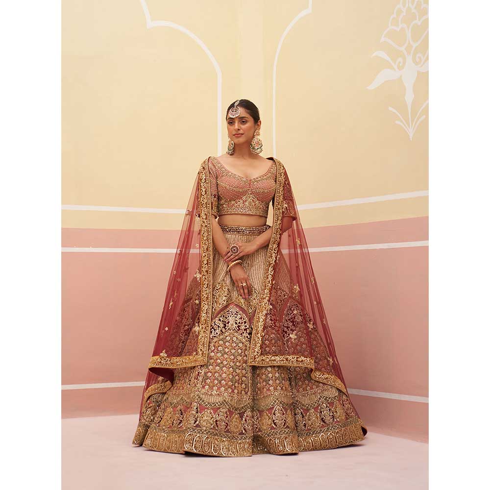 ANGAD SINGH Onion Pink Organza Lehnga with Blouse & Dupatta (Set of 3)