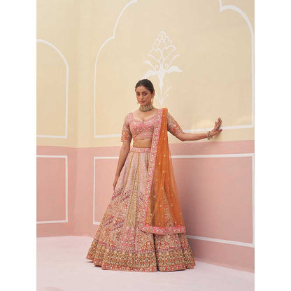 ANGAD SINGH Pink Organza Lehnga with Blouse & Dupatta (Set of 3)