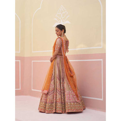 ANGAD SINGH Pink Organza Lehnga with Blouse & Dupatta (Set of 3)