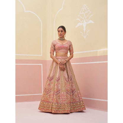 ANGAD SINGH Pink Organza Lehnga with Blouse & Dupatta (Set of 3)