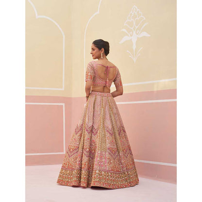 ANGAD SINGH Pink Organza Lehnga with Blouse & Dupatta (Set of 3)