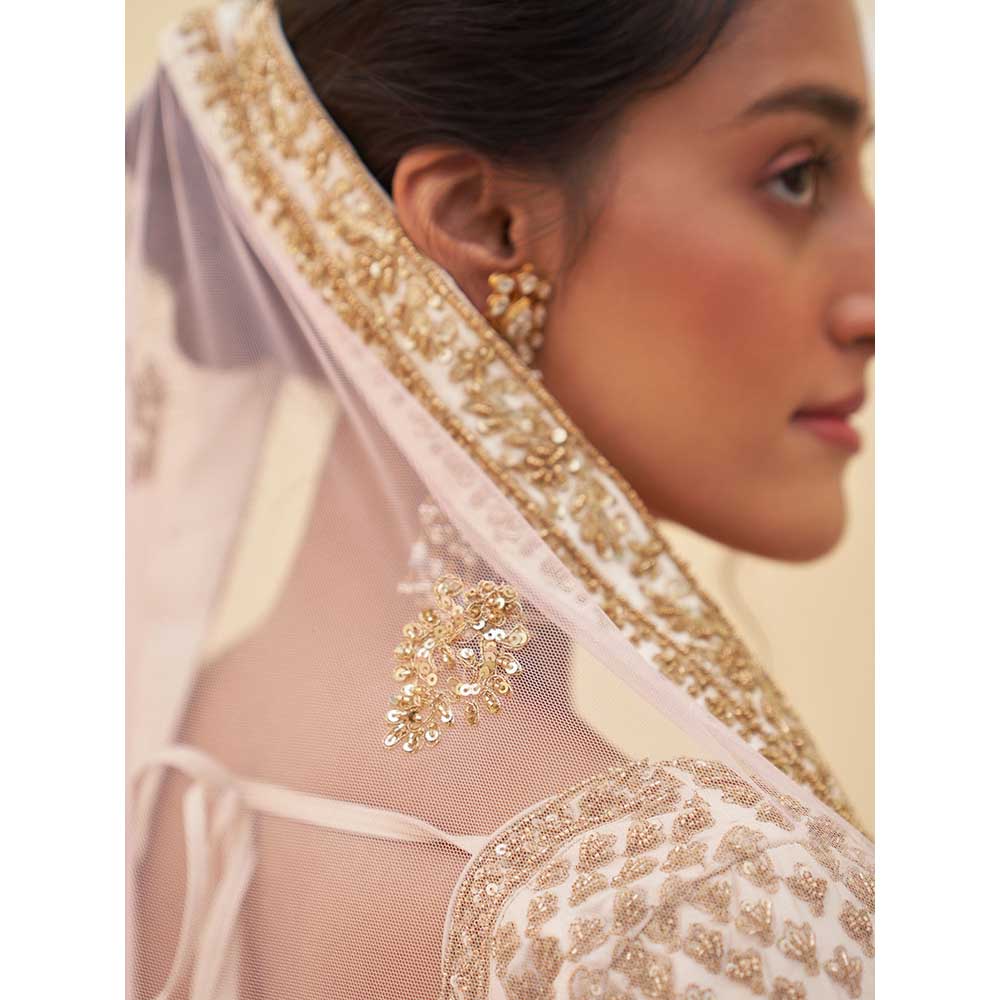 ANGAD SINGH Ivory Raw Silk Lehnga with Blouse & Dupatta (Set of 3)