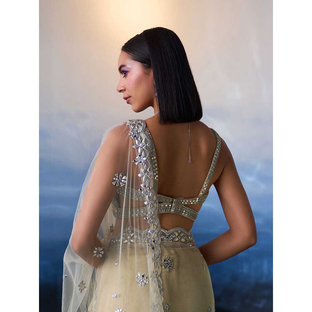 ANGAD SINGH Gold Net Saree with Stitched Blouse and Petticoat