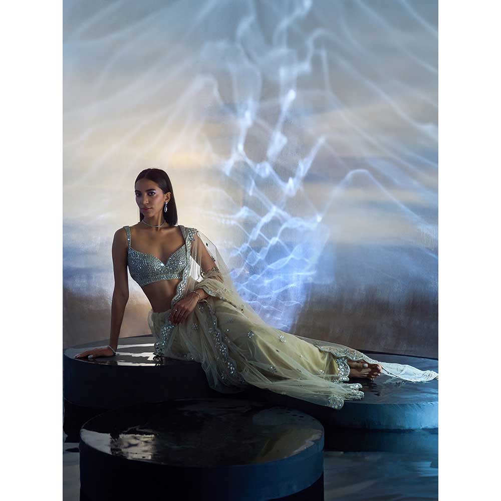 ANGAD SINGH Gold Net Saree with Stitched Blouse and Petticoat