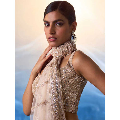 ANGAD SINGH Rose Gold Net Saree with Stitched Blouse and Petticoat