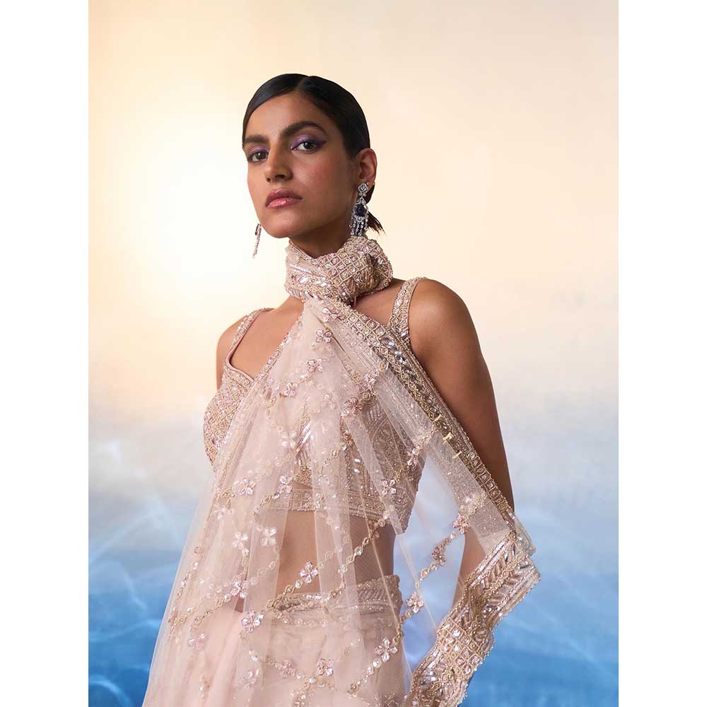 ANGAD SINGH Rose Gold Net Saree with Stitched Blouse and Petticoat