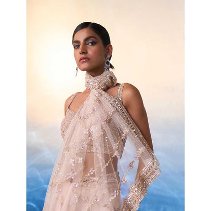 ANGAD SINGH Rose Gold Net Saree with Stitched Blouse and Petticoat