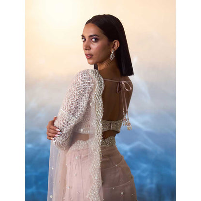 ANGAD SINGH Light Peach Net Saree with Stitched Blouse and Petticoat