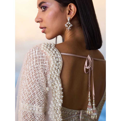 ANGAD SINGH Light Peach Net Saree with Stitched Blouse and Petticoat