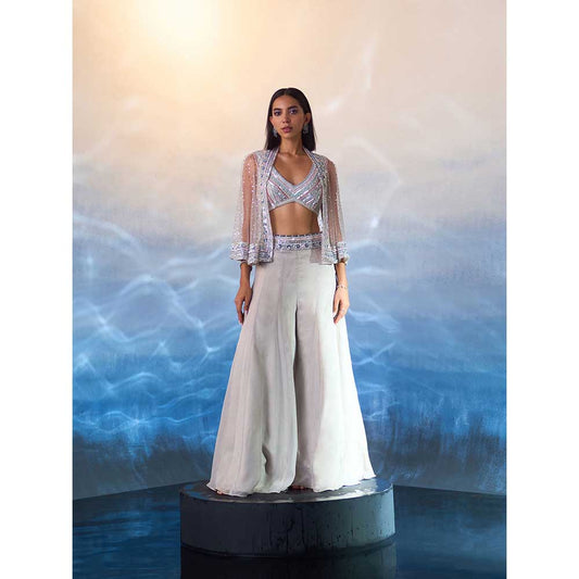 ANGAD SINGH Grey Organza Top with Cape and Sharara (Set of 3)