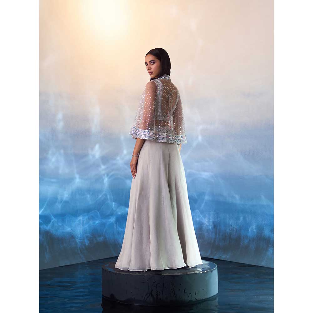 ANGAD SINGH Grey Organza Top with Cape and Sharara (Set of 3)