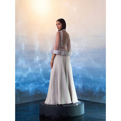 ANGAD SINGH Grey Organza Top with Cape and Sharara (Set of 3)