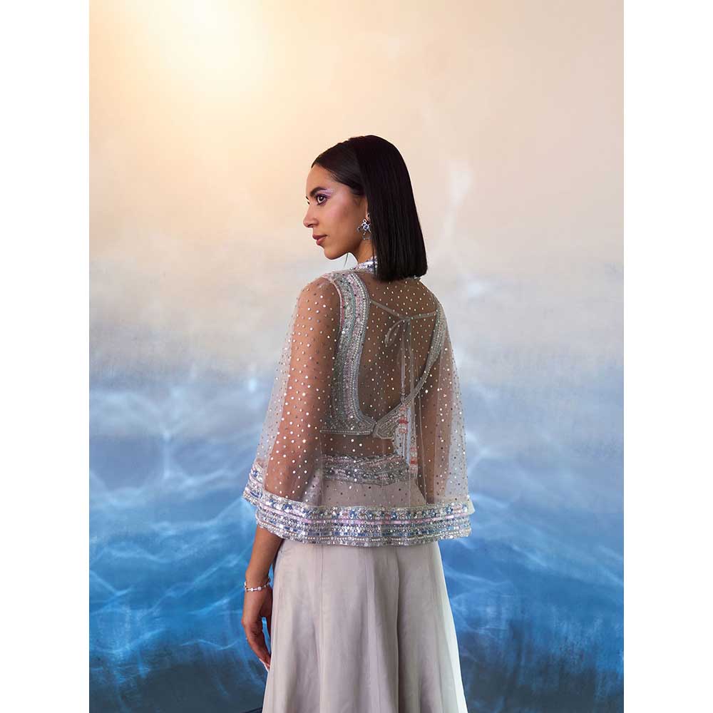 ANGAD SINGH Grey Organza Top with Cape and Sharara (Set of 3)