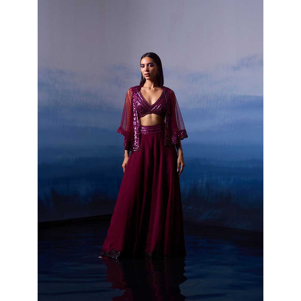 ANGAD SINGH Wine Organza Top with Cape and Sharara (Set of 3)