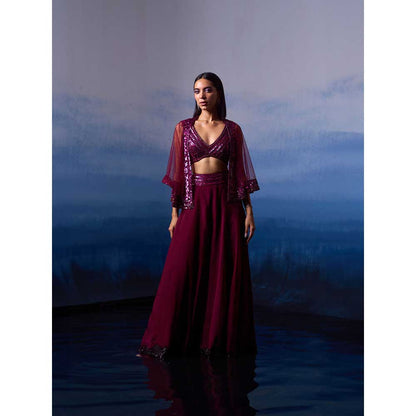 ANGAD SINGH Wine Organza Top with Cape and Sharara (Set of 3)