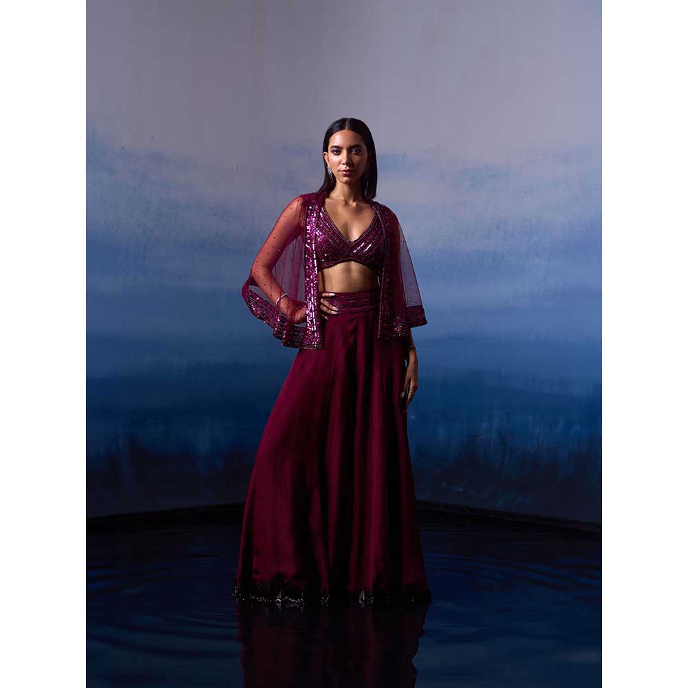 ANGAD SINGH Wine Organza Top with Cape and Sharara (Set of 3)