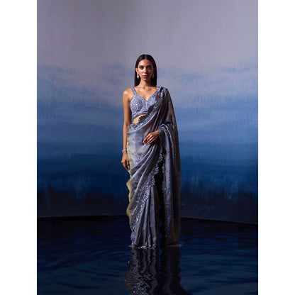 ANGAD SINGH Metallic Grey Tissue Saree with Stitched Blouse and Petticoat