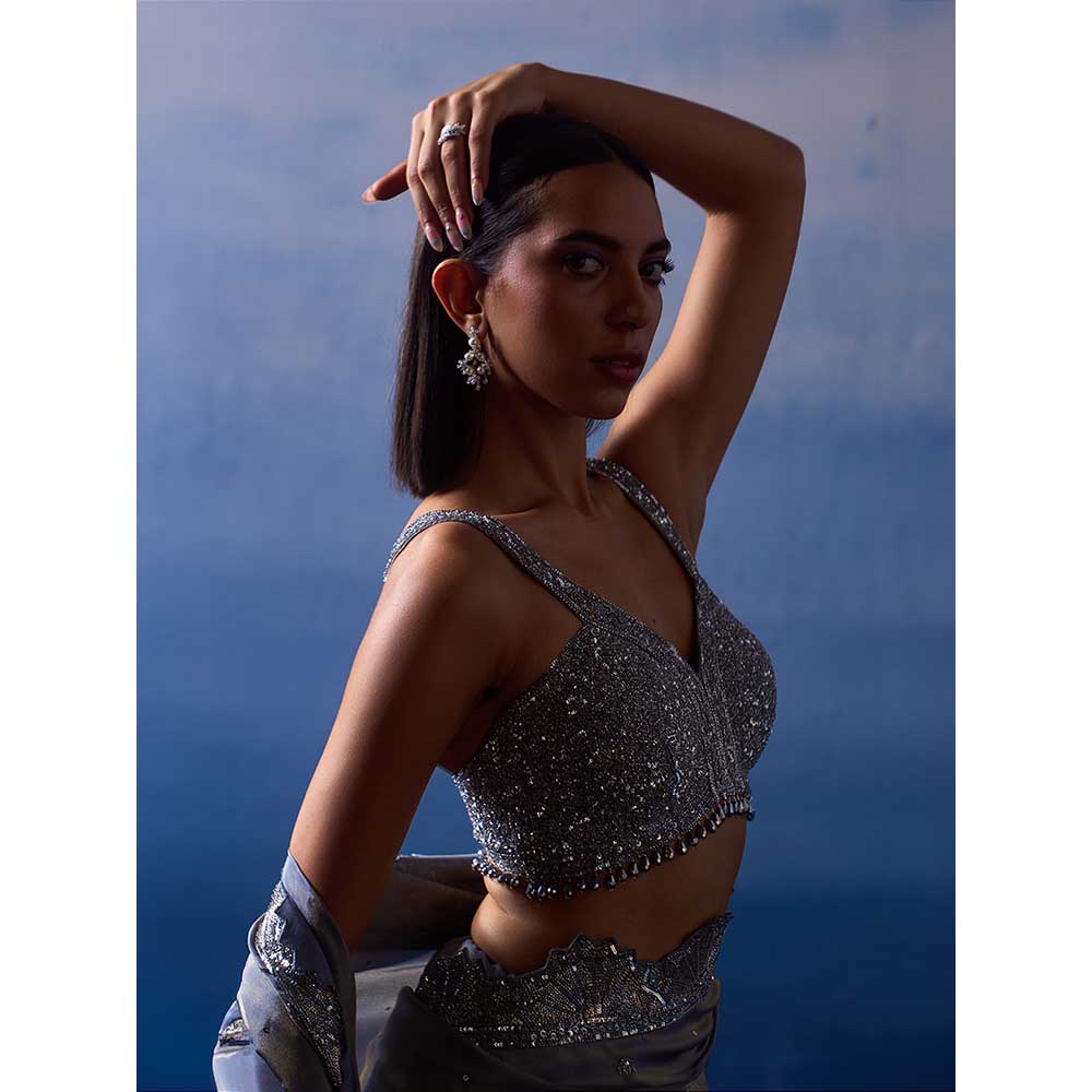 ANGAD SINGH Metallic Grey Tissue Saree with Stitched Blouse and Petticoat